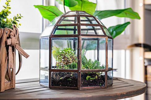 Urban Born Handmade Birdcage Large Glass Terrarium — 10" x 9" x 9" (Black) in Saudi Arabia