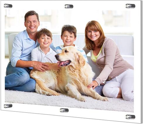 2 Pack Frameless Floating Acrylic Frame Wall Mount Magnetic Acrylic Picture Frames with Chrome Standoffs Clear Double Panel Floating Frame for Picture Photo Poster Display(16 x 20 Inch) in Saudi Arabia
