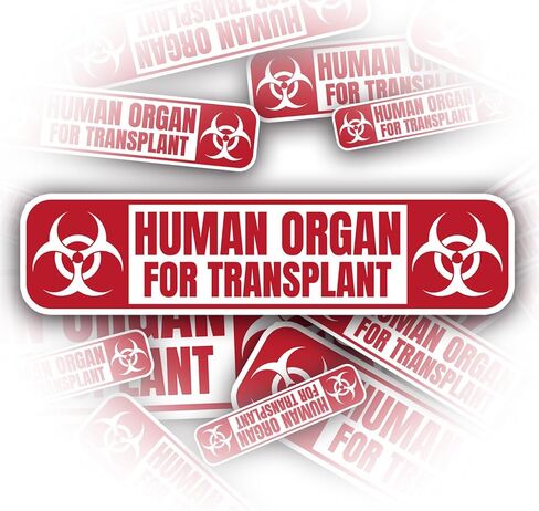 (3pcs) Human Organ for Transplant Sticker for Kids, Water Bottle Stickers Waterproof Vinyl Phone Decal, Skateboard Stickers, Book Sticker(3in) in Saudi Arabia