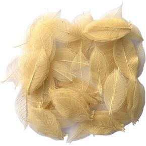 200 Pcs Small 2-3.5 Inches Natural Skeleton Leaves Rubber Tree Scrapbooking, Craft DIY Card, Wedding, Bouquets, Seasonal Gift