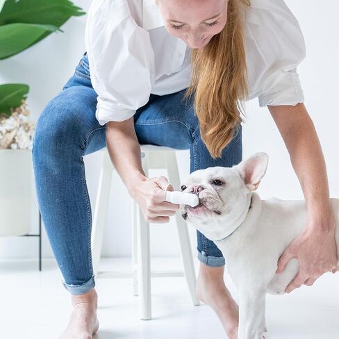 Petosan Microfiber Fingerbrush, 2 Pack, Battery Powered, White, for Dogs in Saudi Arabia