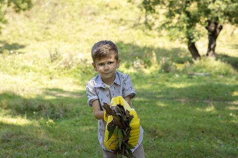 Torxgear - Kids & Small Adult Leaf Claws Hand Rake Scoops - Hand Size XS-Medium - Gardening Tools for Picking up Leaves, Garden Debris, or Mulch Cleanup - Kid-Friendly Lawn & Garden Tool in Saudi Arabia
