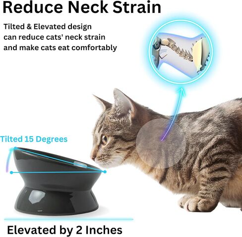 Le Serveta Ceramic Elevated and Tilted Cat Food Bowl, Tilted Raised Cat Bowl, Dishwasher Safe, White (Blue) in Saudi Arabia