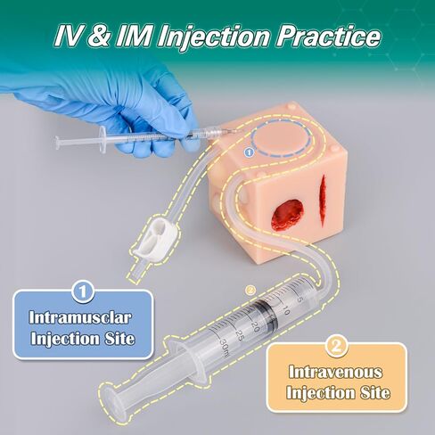 MedEduQuest Multifunctional Medical Practice Model, Including Injection Practice, Cyst Removal, Moles and Skin Tags Practice, Wound Care for Nursing Students in Saudi Arabia