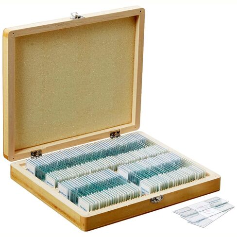 AmScope PS100B Prepared Microscope Slide Set for Basic Biological Science Education, 100 Slides, Set B, Includes Fitted Wooden Case in Kuwait