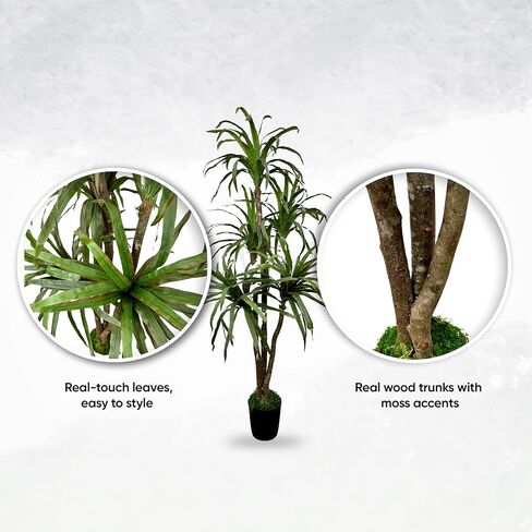Cypress & Alabaster Handmade 6ft Artificial Yucca Plant | Tree with Real Wood Trunks, Hypoallergenic, 6 Foot, Green in Saudi Arabia