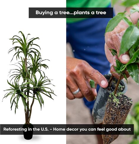 Cypress & Alabaster Handmade 6ft Artificial Yucca Plant | Tree with Real Wood Trunks, Hypoallergenic, 6 Foot, Green in Saudi Arabia
