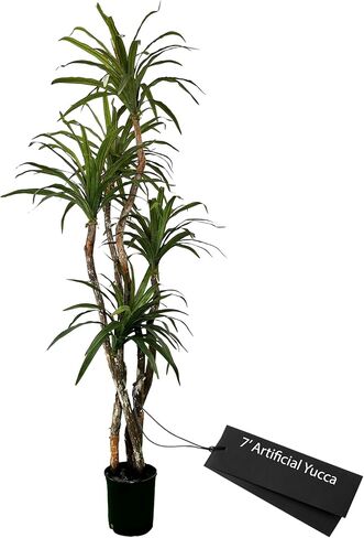 Cypress & Alabaster Handmade 6ft Artificial Yucca Plant | Tree with Real Wood Trunks, Hypoallergenic, 6 Foot, Green in Saudi Arabia