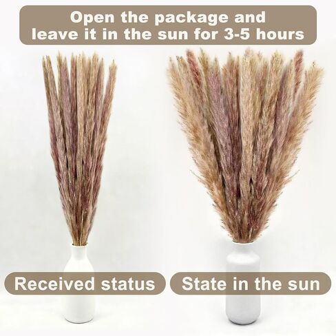Dried Pampas Grass Decor, 100 Stems Bouquet with Bunny Tails & Reed Grass, Boho Dried Flowers for Wedding, Home Table Centerpieces, Rustic Farmhouse Party Decorations in Saudi Arabia