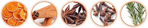 مجففات الخريف من كيجورا - الحمضيات، القرنفل، القرفة، اليانسون النجمي، الزعتر، روائح عطلات الخريف والشتاء، روائح عطرية على الموقد، مثالية لعيد الشكر، هدية مضيفة الاحترار في المنزل in Saudi Arabia