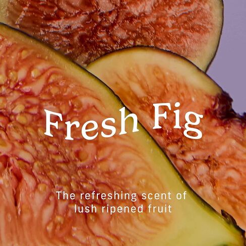 Niches & Nooks رذاذ أنثوي ممتص للعرق بدرجة حموضة متوازنة - تين طازج - 2 أونصة in Kuwait