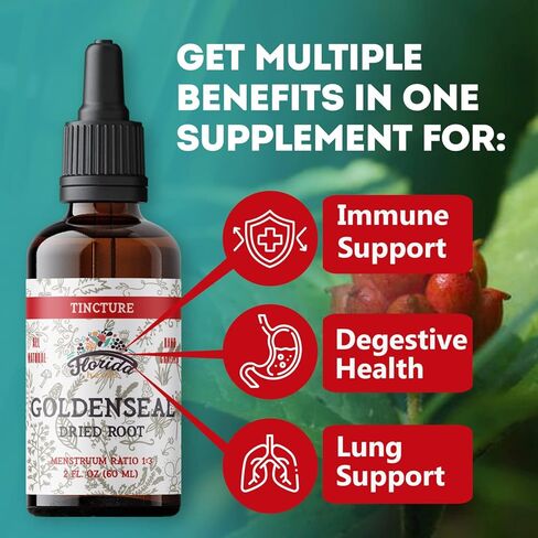 Goldenseal Tincture 2 oz – Organic Herbal Extract | Alcohol Free | Vegan Herbal Drops - Made in USA in Saudi Arabia