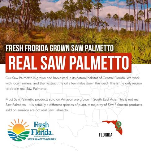 Saw Palmetto Extract – 10X Potency, Pharmaceutical Grade Strength - Plus Pumpkin Seed Oil - Supports Prostate Health, Relieves Urination Issues, Supports Hair Growth, DHT Blocker – 60 Softgels in Saudi Arabia
