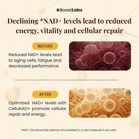 قطرات سائلة مكملة من Liposomal NAD+ - بديل NMN عالي الفعالية للطاقة الخلوية والشيخوخة الصحية وضباب الدماغ - تركيبة سائلة NAD سريعة الامتصاص (2 أونصة) in Kuwait