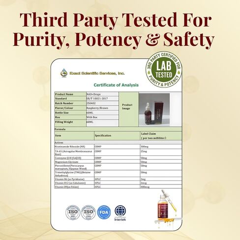 قطرات سائلة مكملة من Liposomal NAD+ - بديل NMN عالي الفعالية للطاقة الخلوية والشيخوخة الصحية وضباب الدماغ - تركيبة سائلة NAD سريعة الامتصاص (2 أونصة) in Kuwait