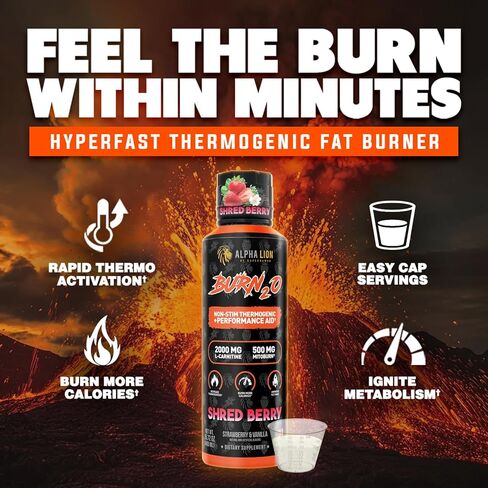 ALPHA LION Burn2O L-Carnitine Liquid 2000mg, Premium Liquid Fat Burner & Pre-Workout Supplement for Men & Women - Natural Energy & Metabolism Booster for Weight Loss - ShredBerry in Saudi Arabia
