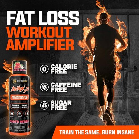 ALPHA LION Burn2O L-Carnitine Liquid 2000mg, Premium Liquid Fat Burner & Pre-Workout Supplement for Men & Women - Natural Energy & Metabolism Booster for Weight Loss - ShredBerry in Saudi Arabia