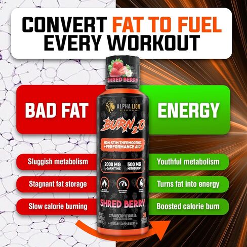 ALPHA LION Burn2O L-Carnitine Liquid 2000mg, Premium Liquid Fat Burner & Pre-Workout Supplement for Men & Women - Natural Energy & Metabolism Booster for Weight Loss - ShredBerry in Saudi Arabia
