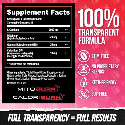 ALPHA LION Burn2O L-Carnitine Liquid 2000mg, Premium Liquid Fat Burner & Pre-Workout Supplement for Men & Women - Natural Energy & Metabolism Booster for Weight Loss - ShredBerry in Saudi Arabia
