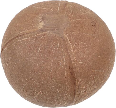 Candle Coconut Shell Bowl Creative Storage Jar for DIY Candles Natural Coconut Bowl for Beach Decor Unique Candle Container for Home Party Use in Saudi Arabia