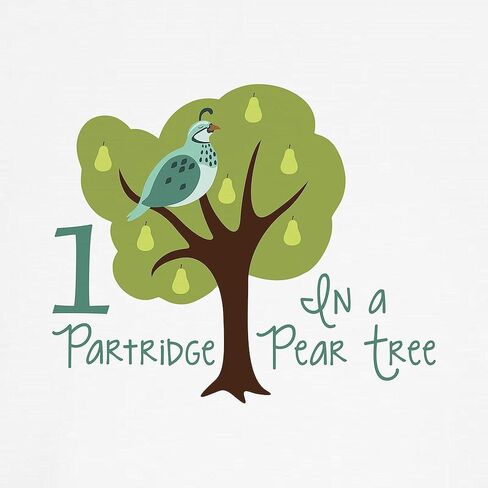 ملابس داخلية كلاسيكية من CafePress 1 Partridge In A Pear Tree، سراويل داخلية نسائية in Saudi Arabia