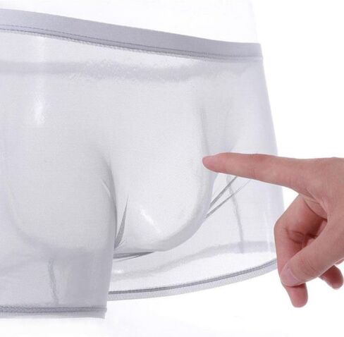 See Through Underpants Bulge Ice Silk Comfortable Lingerie Intimates Transparent Boxers Low-Waist Men's(L,Black) in Saudi Arabia