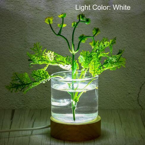 قاعدة عرض LED خشبية مكونة من قطعتين - حامل مضاء لفن الكريستال (قطر 2.5 بوصة) - ديكور المنزل/المكتب/الهدايا - ضوء أبيض in Kuwait