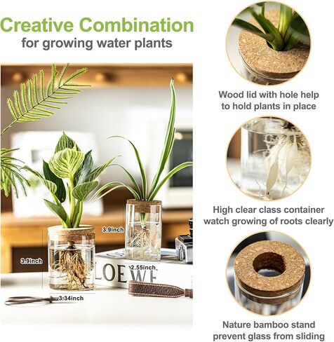 Glass Plant Propagation Stations for Plants – Set of 4(2 Large & 2 Small) Hydroponic Vases for Plant Cuttings,Flower Arrangements, Home & Office Decor–Desktop Vases for Living Room, Bedroom (4) in Saudi Arabia