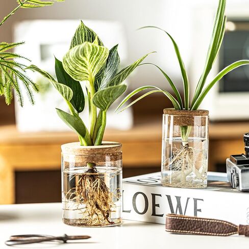Glass Plant Propagation Stations for Plants – Set of 4(2 Large & 2 Small) Hydroponic Vases for Plant Cuttings,Flower Arrangements, Home & Office Decor–Desktop Vases for Living Room, Bedroom (4) in Saudi Arabia