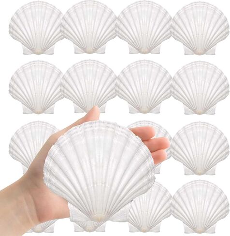 Large Natural Sea Shells 4''-5'' White Scallop Shells 8PCS for DIY Craft Making, Baking, Hand Painting, Ocean Themed Party and Home Decor in Saudi Arabia