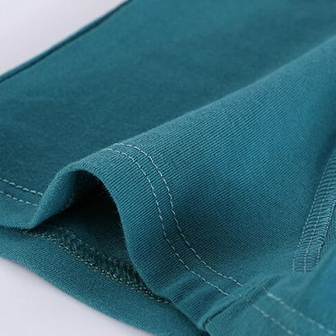 ملابس داخلية للأولاد على شكل ديناصور - مجموعة مكونة من 4 سراويل داخلية قصيرة ملونة برسوم كارتونية ناعمة مع متعة للأطفال من عمر 2 إلى 11 عامًا in Kuwait