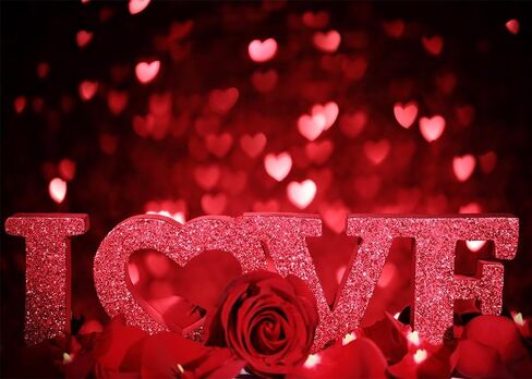 3D Red Rose Love Flower Photography Background Floral Flower Romantic Valentine Love Backdrop Valentine's Day Wedding Reception Photo Backdrop Studio Prop Banner 7x5FT in Kuwait