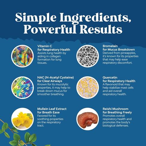 كبسولات أوراق نبات البولين للتخلص من سموم الرئة - مركب تنقية الرئة من مادة مولين مع مستخلصات NAC كيرسيتين وكورديسيبس - مكمل عشبي للجهاز التنفسي لمناعة الجيوب الأنفية ودعم التنفس in Kuwait