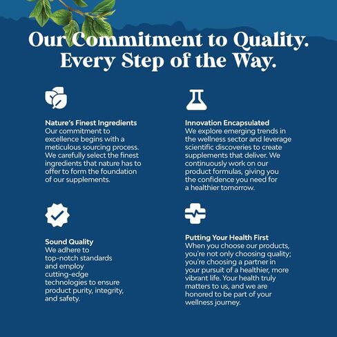 كبسولات أوراق نبات البولين للتخلص من سموم الرئة - مركب تنقية الرئة من مادة مولين مع مستخلصات NAC كيرسيتين وكورديسيبس - مكمل عشبي للجهاز التنفسي لمناعة الجيوب الأنفية ودعم التنفس in Kuwait