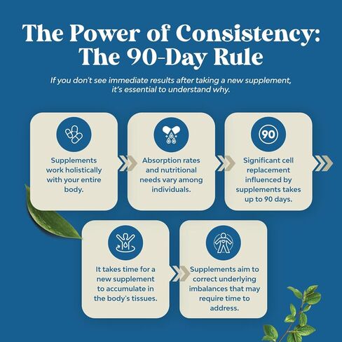 كبسولات أوراق نبات البولين للتخلص من سموم الرئة - مركب تنقية الرئة من مادة مولين مع مستخلصات NAC كيرسيتين وكورديسيبس - مكمل عشبي للجهاز التنفسي لمناعة الجيوب الأنفية ودعم التنفس in Kuwait