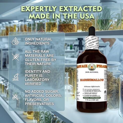 الخطمي (Althaea Officinalis) جليسيريت الجذور الجافة، صنع في هاواي، مواد خام عضوية، طبيعية بالكامل، نباتي، مستخلص سائل خالٍ من الكحول تم اختباره في المعمل - 2 أونصة سائلة in Kuwait