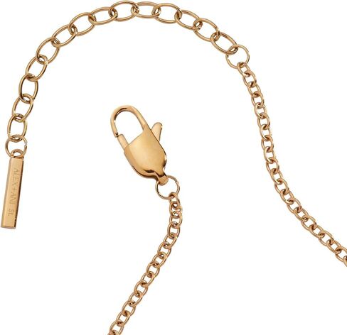Alex and Ani Zodiac Bracelet - Two-Tone Stainless Steel with Clear Crystals, Nickel-Free, Zodiac Sign Bracelet for Women in Saudi Arabia