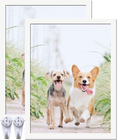 16x24 Picture Frame Set of 2, Black Photo Frames High Transparent Wall Gallery Desktop Horizontal Vertical for Canvas Collage Photo Poster Certificate 16 x 24 inches in Saudi Arabia