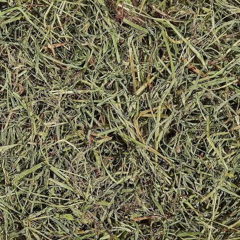 Kaytee Timothy Hay & Orchard Grass for Guinea Pigs, Rabbits & Other Small Animals, 48 oz in Saudi Arabia