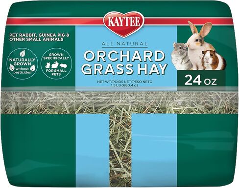 Kaytee Timothy Hay & Orchard Grass for Guinea Pigs, Rabbits & Other Small Animals, 48 oz in Saudi Arabia