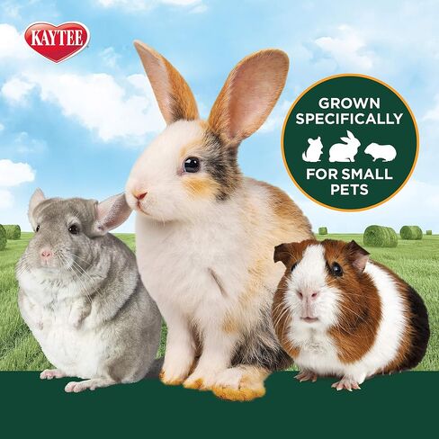 Kaytee Timothy Hay & Orchard Grass for Guinea Pigs, Rabbits & Other Small Animals, 48 oz in Saudi Arabia