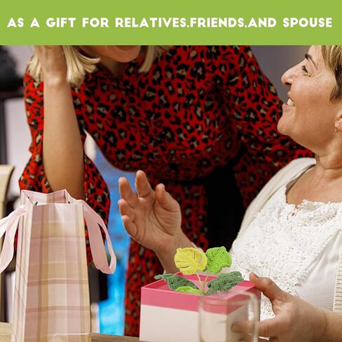 مجموعة نباتات الكروشيه للمبتدئين، مجموعات المبتدئين من الكروشيه مع دروس فيديو ورسومات خطوة بخطوة، 1 نبات معلق بوعاء و1 أوراق نبات مونستيرا، مجموعة أدوات الكروشيه Woobles هدية للبالغين / الأطفال in Kuwait