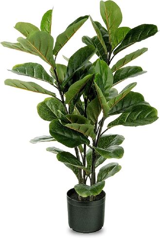 شجرة أوراق الكمان من Naturae Decor - نبات منزلي صناعي داخلي وخارجي نابض بالحياة - مقاوم للأشعة فوق البنفسجية - ارتفاع 35 سم in Kuwait