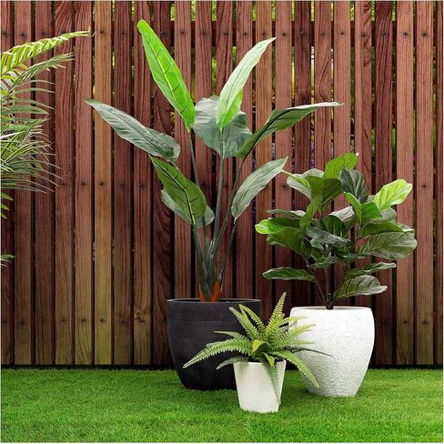 شجرة أوراق الكمان من Naturae Decor - نبات منزلي صناعي داخلي وخارجي نابض بالحياة - مقاوم للأشعة فوق البنفسجية - ارتفاع 35 سم in Kuwait