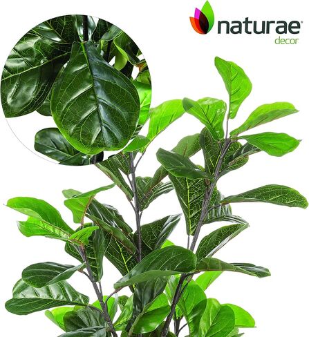شجرة أوراق الكمان من Naturae Decor - نبات منزلي صناعي داخلي وخارجي نابض بالحياة - مقاوم للأشعة فوق البنفسجية - ارتفاع 35 سم in Kuwait