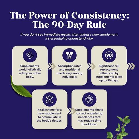 كبسولات زيت بذور سوداء نباتية - كبسولات زيت بذور الكمون الأسود المضغوطة على البارد مع أوميغا 3 6 9 ومضادات الأكسدة والثيموكينون لدعم نمو الشعر ودعم صحة المفاصل والهضم in Kuwait