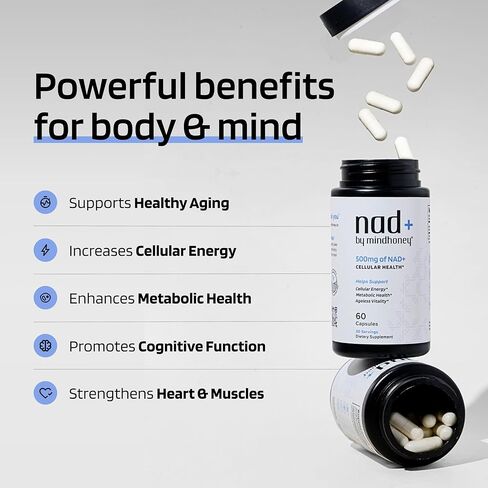 ميندوني | NAD+ ملحق الدماغ | 500 مجم NAD+ تركيبة مميزة | مكافحة الشيخوخة الصحية، الطاقة الخلوية، الإدراك، الصحة الأيضية، دعم القلب والعضلات | نباتي، غير معدّل وراثيًا، خالي من الغلوتين | 30 حصة in Kuwait