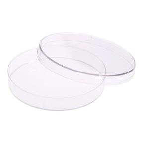 Celltreat 229694 Petri Dish, Slideable, Sterile, 100 mm x 15 mm, 20 per Bag, Clear (Pack of 500) in Kuwait