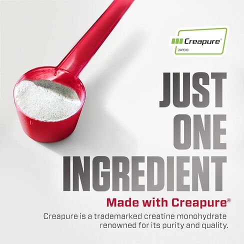 Dymatize 100% Creatine Monohydrate with Creapure, 5g Per Serving, 60 Servings (300g), Creatine for Women and Men, Gluten Free in Saudi Arabia