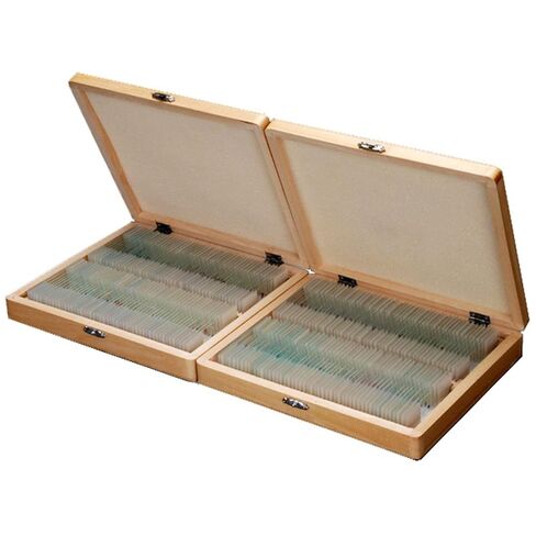 AmScope PS200A Prepared Microscope Slide Set for Basic Biological Science Education, 200 Slides, Set A, Includes Fitted Wooden Case in Saudi Arabia